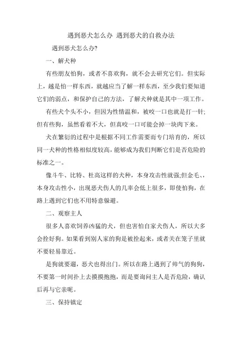 遇到恶犬怎么办 遇到恶犬的自救办法