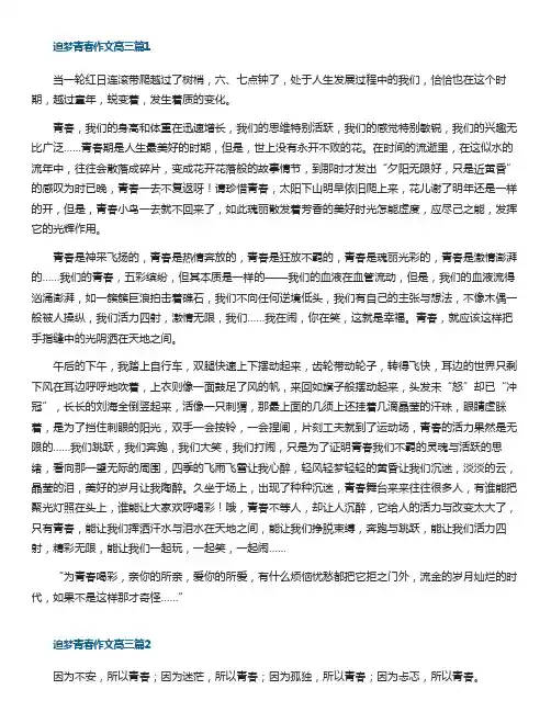 追梦青春作文高三优秀5篇