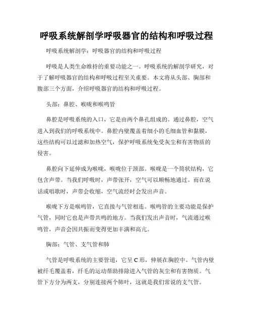 呼吸系统解剖学呼吸器官的结构和呼吸过程