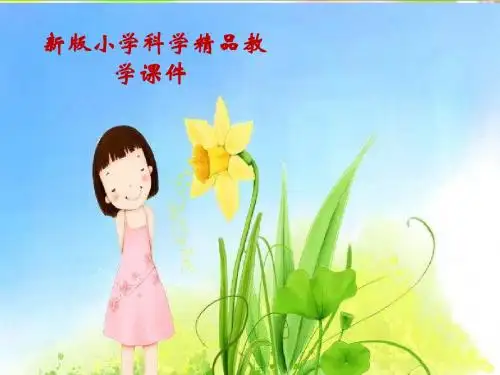 新版教科版五年级小学科学上册3.1 地球表面的地形课件 (共15张PPT)