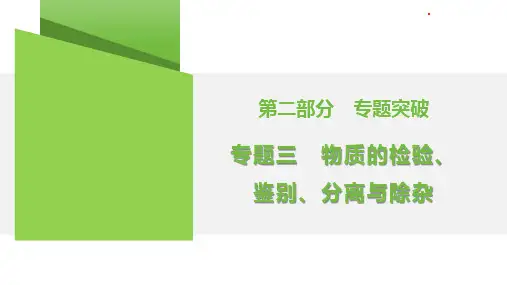 专题3 物质的检验、鉴别、分离与除杂  课件 (共29张PPT)2025年中考化学专题突破(湖南)