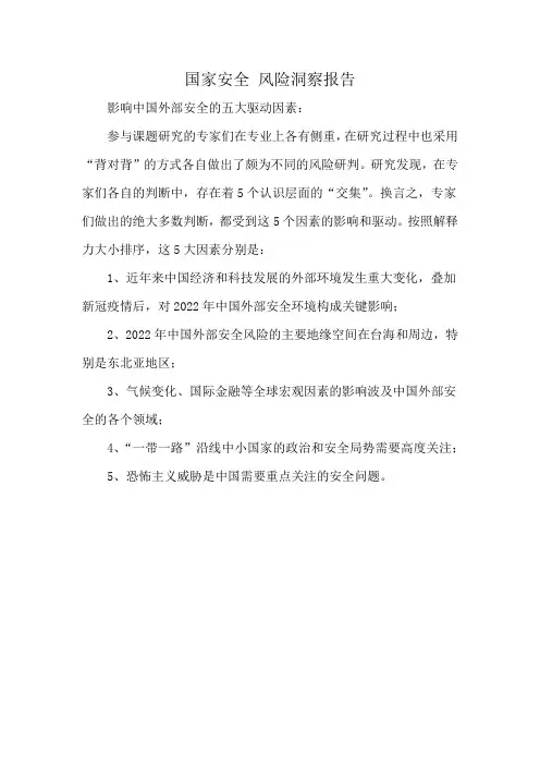 国家安全 风险洞察报告