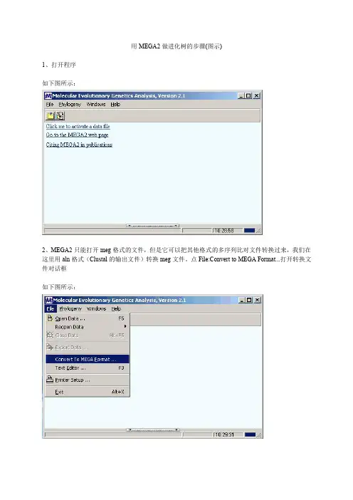 MEGA使用图解