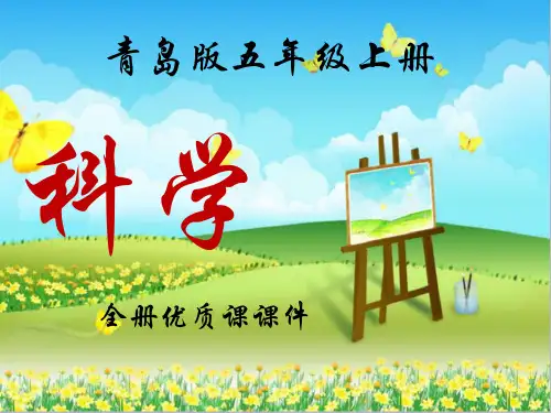 青岛版科学小学五年级上册第四单元全单元课件