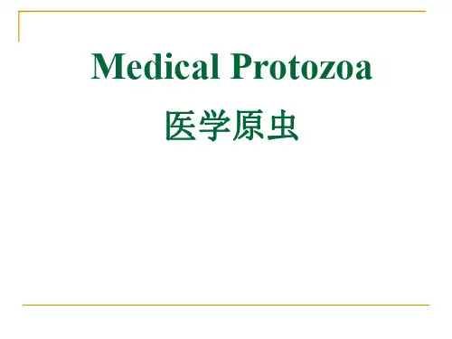 【北京大学-医学寄生虫】_医学原虫_20200425234131
