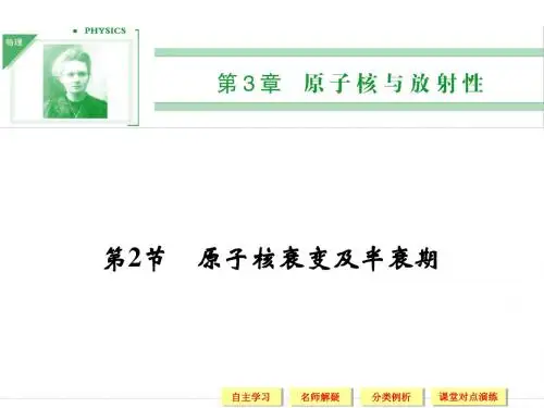 鲁科版高中物理选修3-5课件 原子核衰变及半衰期课件2