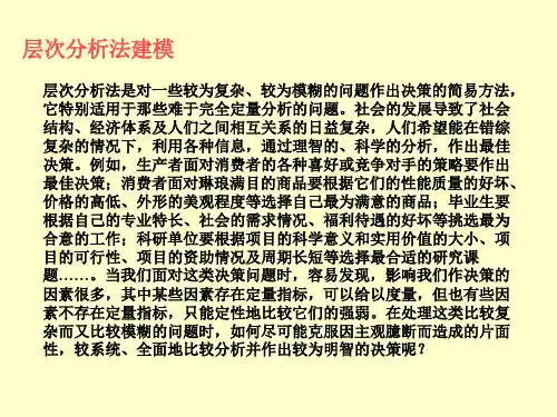 风险决策模型层次分析法xin