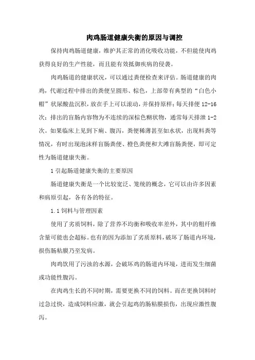 肉鸡肠道健康失衡的原因与调控