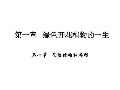 1.1花的结构和类型 课件3(生物济南版八年级下册)