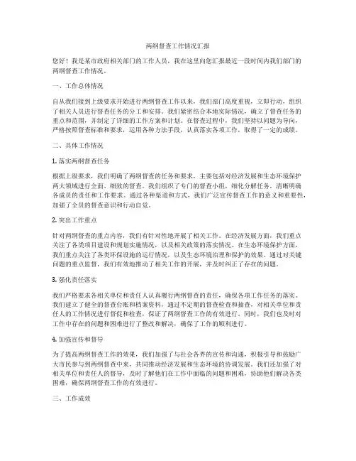 两纲督查工作情况汇报