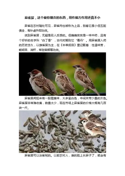 麻雀屎，这个被你嫌弃的东西，用作偏方作用还真不小