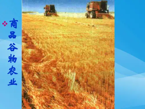 商品谷物农业ppt 人教课标版优质课件