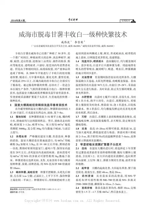 威海市脱毒甘薯丰收白一级种快繁技术
