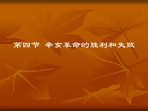 辛亥革命的胜利和失败