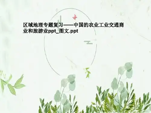 区域地理专题复习——中国的农业工业交通商业和旅游业ppt_图文