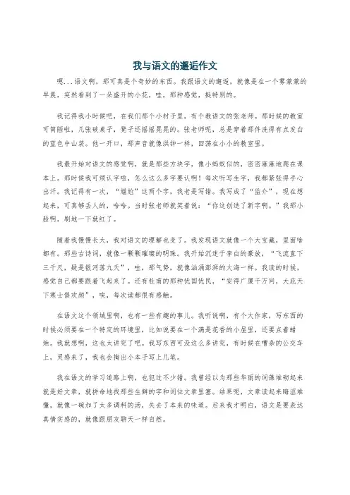 我与语文的邂逅作文