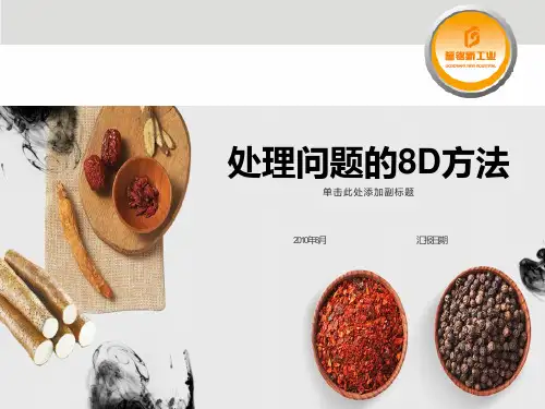 处理问题的8D方法课程