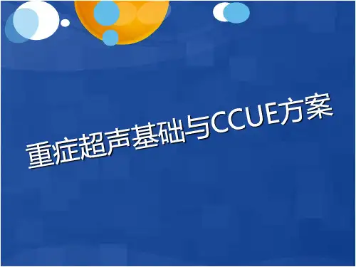 重症超声基础完整版本