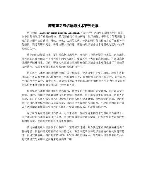 药用菊花组织培养技术研究进展