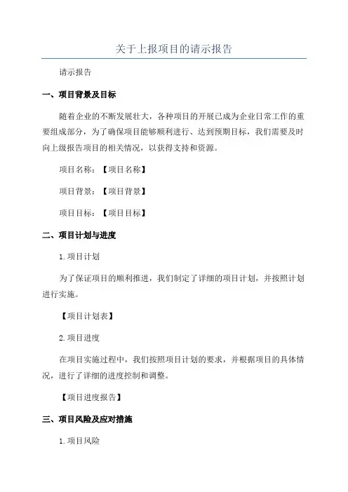 关于上报项目的请示报告