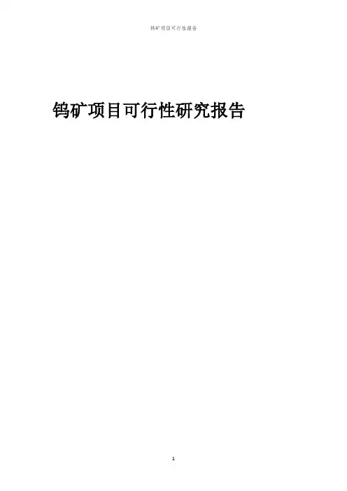 钨矿项目可行性研究报告