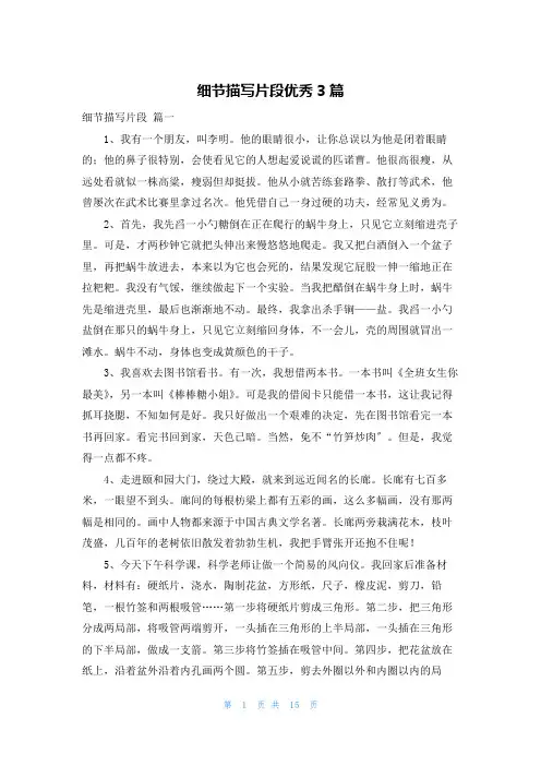 细节描写片段优秀3篇