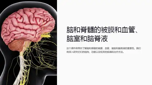 脑和脊髓的被膜和血管、脑室和脑脊液课件