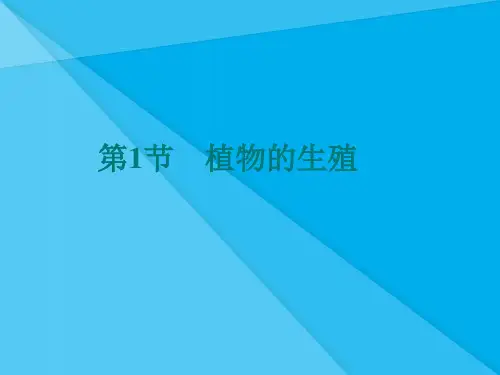 植物的生殖PPT课件33 人教版优秀课件