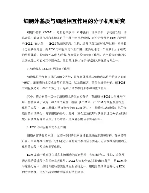细胞外基质与细胞相互作用的分子机制研究