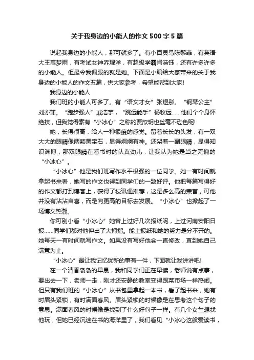 关于我身边的小能人的作文500字5篇