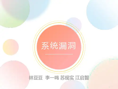 信息安全-常见的系统漏洞