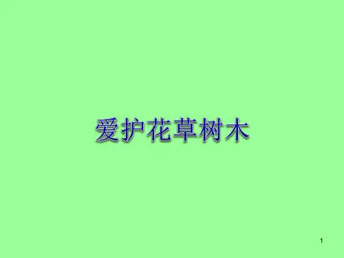 《爱护花草树木》PPT课件