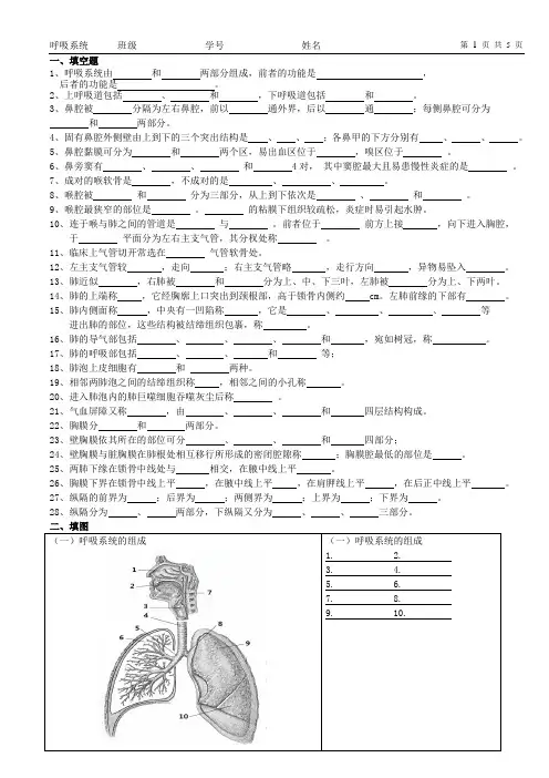 4.呼吸系统题目
