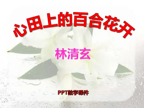语文四下《心田上的百合花开》PPT课件