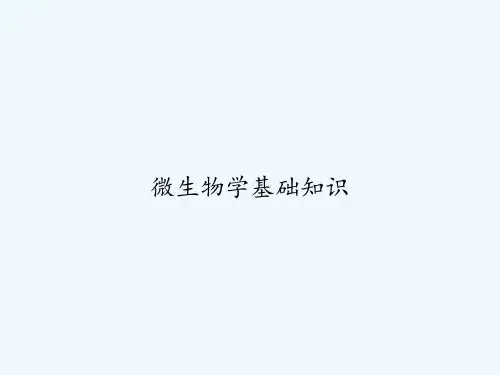 微生物学基础知识 PPT