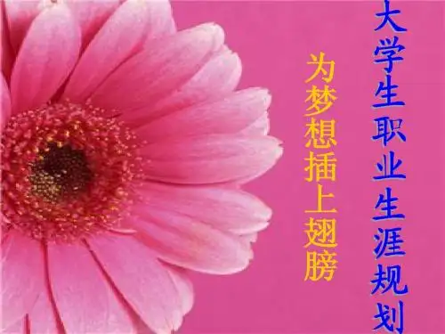 职业生涯规划ppt