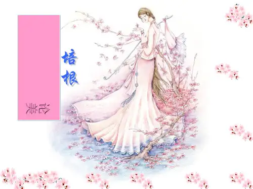 《论美》PPT课件(上课用)