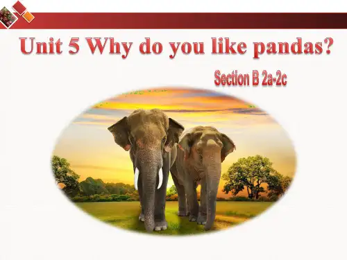 Unit 5 Why do you like pandas_课件