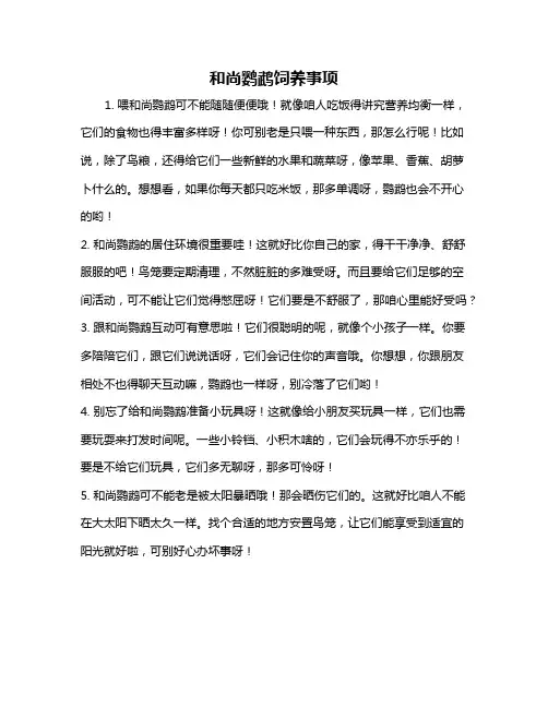 和尚鹦鹉饲养事项