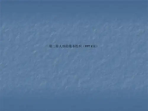 第二章人体的基本组织(PPT X页)
