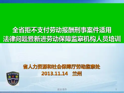 劳动保障监察培训PPT课件