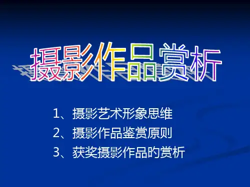 摄影作品赏析