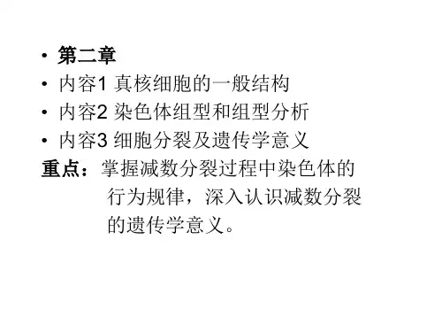 普通遗传学》总复习 PPT课件