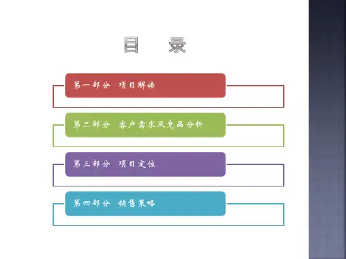 沙城商业项目定位及销售策略报告-03