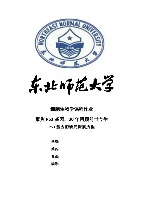 p53的前世今生