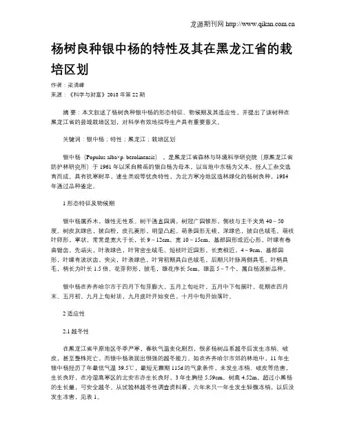 杨树良种银中杨的特性及其在黑龙江省的栽培区划