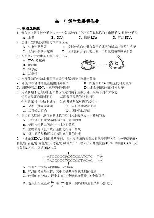 高一年级生物暑假作业