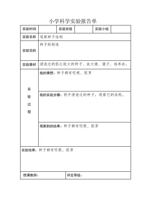小学科学四年级下册实验报告单