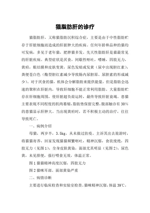 猫脂肪肝的诊疗