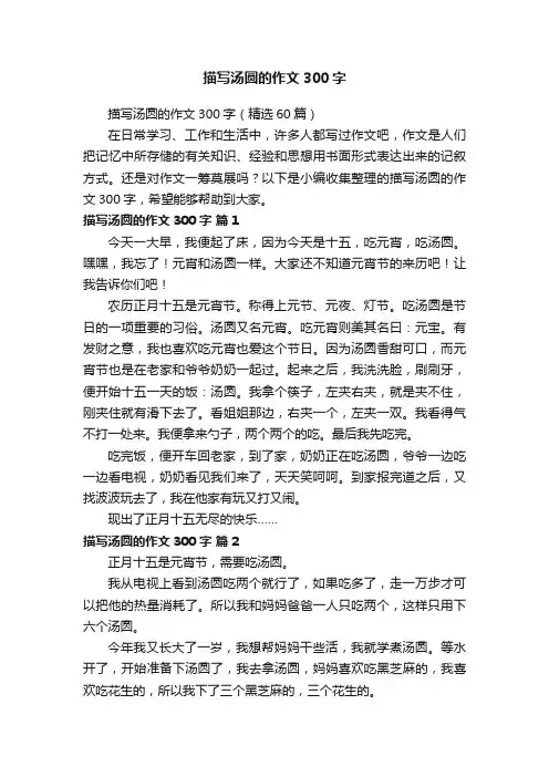 描写汤圆的作文300字